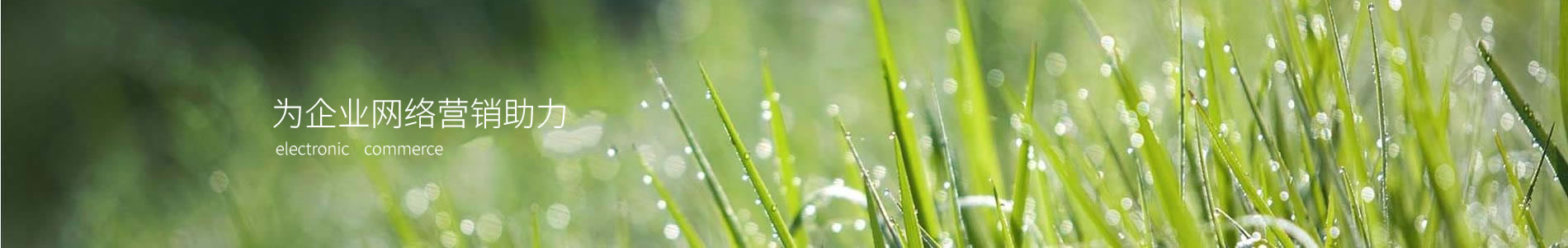 ԭľ̿